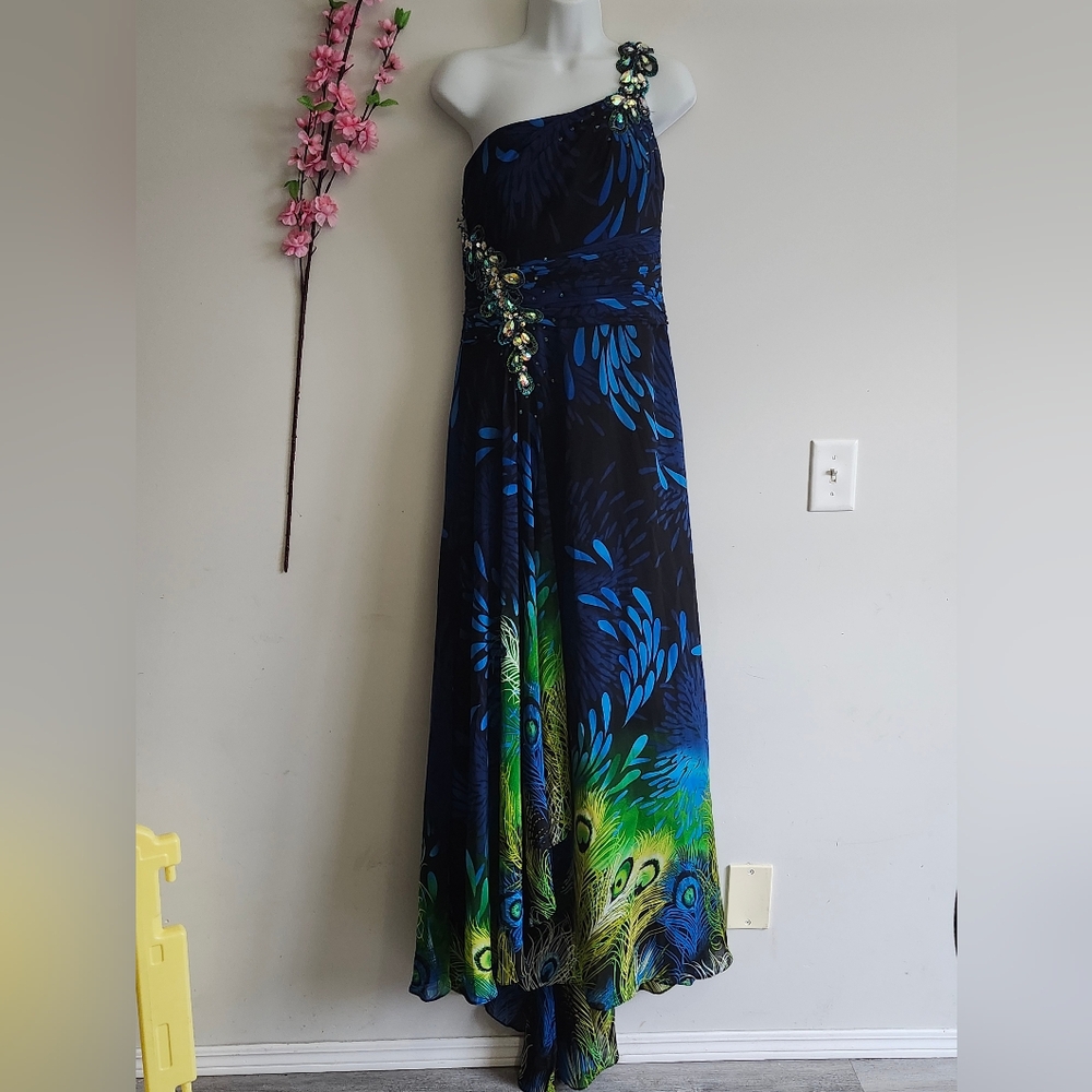 Peacock Feather Maxi Dress